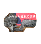 たきもと（個別スタンプ：3）