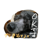 たきもと（個別スタンプ：6）