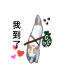 Cats ＆ Rabbits paradise（個別スタンプ：7）