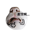 Cats ＆ Rabbits paradise（個別スタンプ：26）