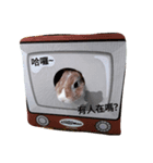Bunny's inner theater（個別スタンプ：1）