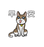 Don-Fn（個別スタンプ：1）