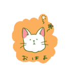 TRDのしろねこ（個別スタンプ：19）