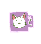 TRDのしろねこ（個別スタンプ：31）