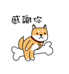 2018 Dog for chinese new year（個別スタンプ：3）