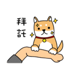 2018 Dog for chinese new year（個別スタンプ：14）