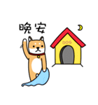 2018 Dog for chinese new year（個別スタンプ：16）