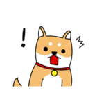 2018 Dog for chinese new year（個別スタンプ：30）
