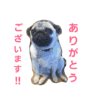 ふくの使えるスタンプ（個別スタンプ：5）