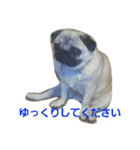 ふくの使えるスタンプ（個別スタンプ：19）