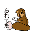 金欠りす（個別スタンプ：4）