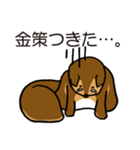 金欠りす（個別スタンプ：16）