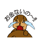 金欠りす（個別スタンプ：17）