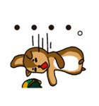 金欠りす（個別スタンプ：18）