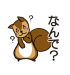 金欠りす（個別スタンプ：21）