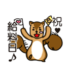 金欠りす（個別スタンプ：24）