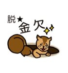 金欠りす（個別スタンプ：25）