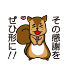 金欠りす（個別スタンプ：40）
