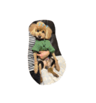パールちゃんが生きた証（個別スタンプ：5）