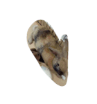 Rabbit. 01（個別スタンプ：6）