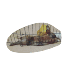 Rabbit. 01（個別スタンプ：7）