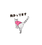 おしゃれ猫 ミラン 日常あいさつ編（個別スタンプ：11）