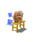 Didi - Poodle（個別スタンプ：10）