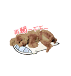 Didi - Poodle（個別スタンプ：15）