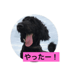 ワンダフルタイム（個別スタンプ：1）