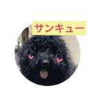 ワンダフルタイム（個別スタンプ：3）