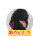 ワンダフルタイム（個別スタンプ：4）