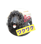 ワンダフルタイム（個別スタンプ：5）