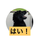 ワンダフルタイム（個別スタンプ：7）