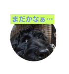ワンダフルタイム（個別スタンプ：11）
