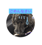 ワンダフルタイム（個別スタンプ：16）