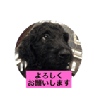 ワンダフルタイム（個別スタンプ：17）