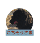 ワンダフルタイム（個別スタンプ：22）