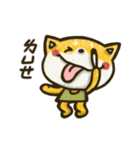 Smiling Shiba（個別スタンプ：31）