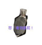moon rabbit cc（個別スタンプ：4）