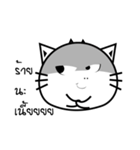 Funny-Cat（個別スタンプ：18）