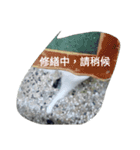 idiot nico（個別スタンプ：16）