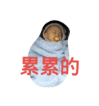 Lin family little cute girl（個別スタンプ：6）