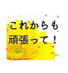 卒業・入学祝いに花を♪（個別スタンプ：9）