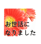 卒業・入学祝いに花を♪（個別スタンプ：11）