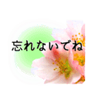 卒業・入学祝いに花を♪（個別スタンプ：14）