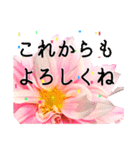 卒業・入学祝いに花を♪（個別スタンプ：16）