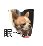 サボ（個別スタンプ：3）