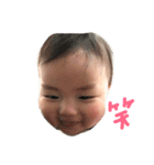 tatitan3（個別スタンプ：1）