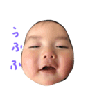 tatitan3（個別スタンプ：7）