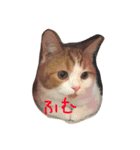 つなのスタンプ（個別スタンプ：13）